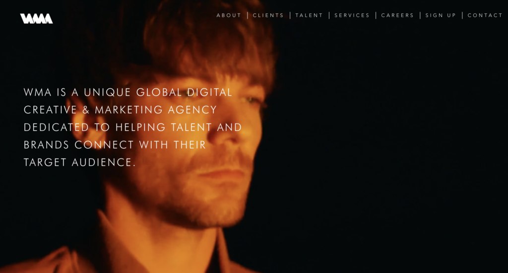 Social Media Growth Consultants for Artists